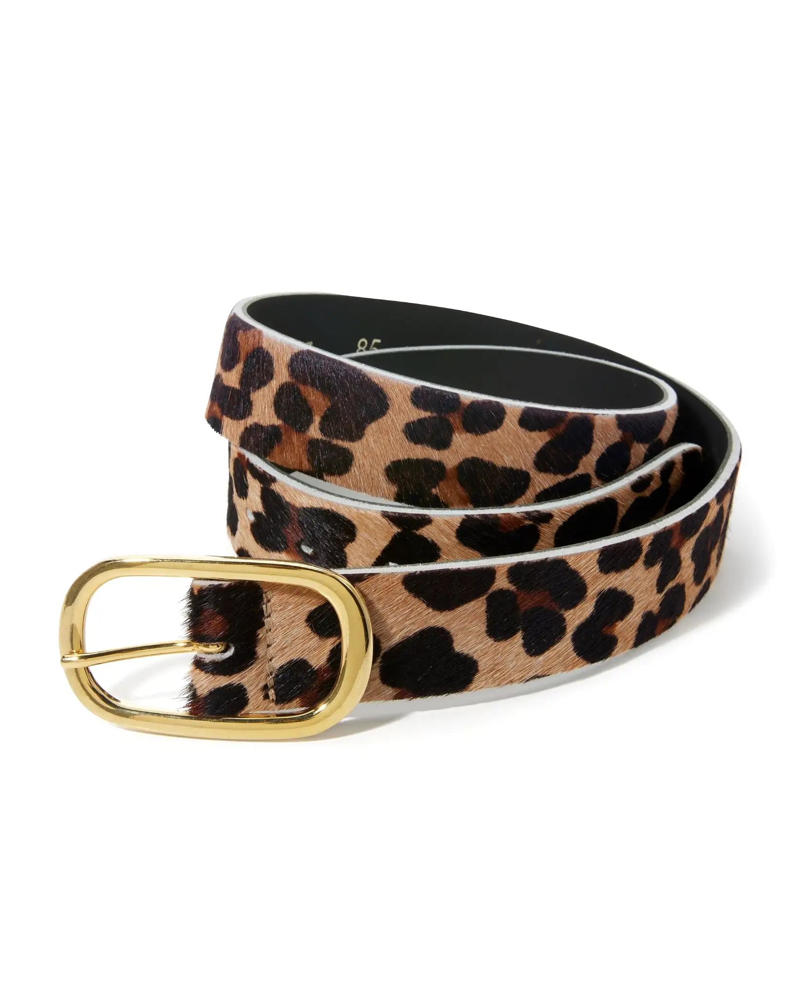 Animal Modern Classic Belt Multi